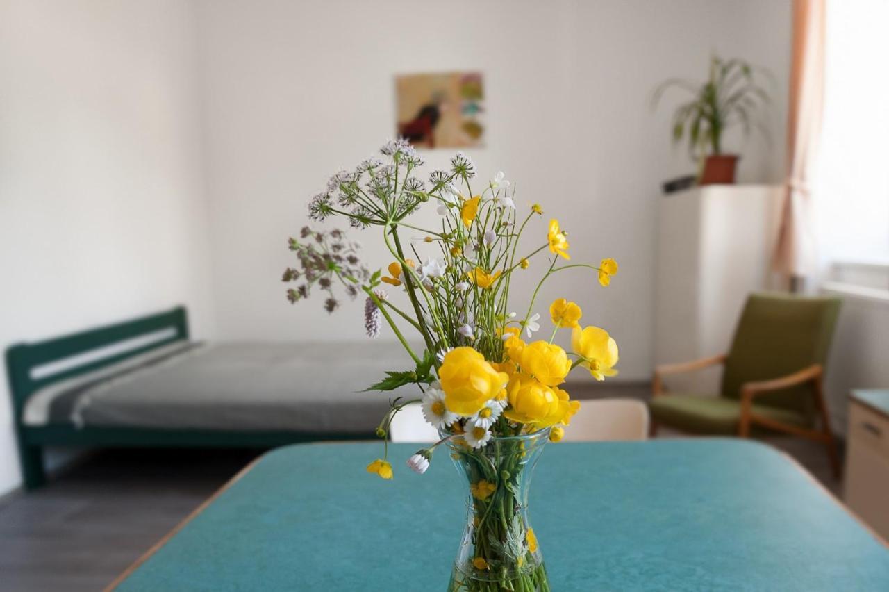Apartmany16 Olesnice V Orlickych Horach 外观 照片